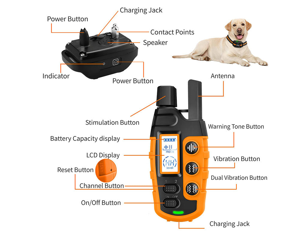 Anti Bark and Training Dog Collar