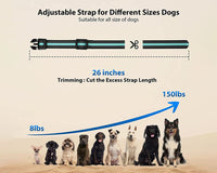 Thumbnail for Anti Bark and Training Dog Collar