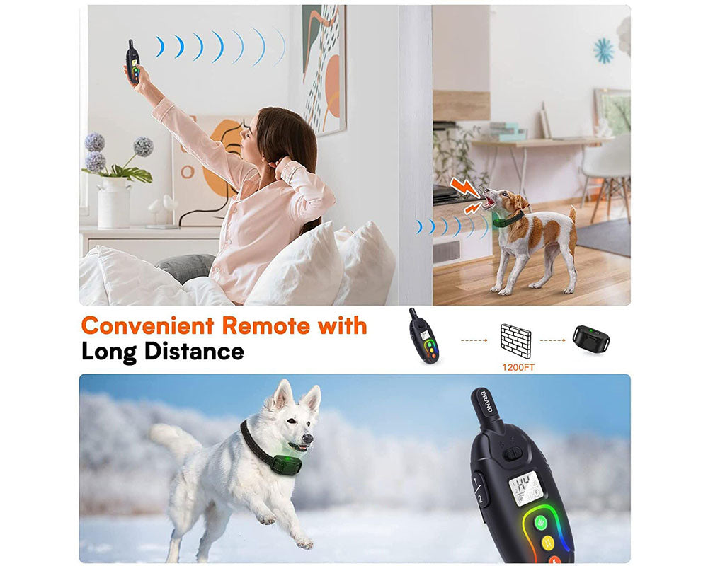 Anti Bark and Training Dog Collar
