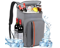 Thumbnail for Insulated Lunch Bag Cooler