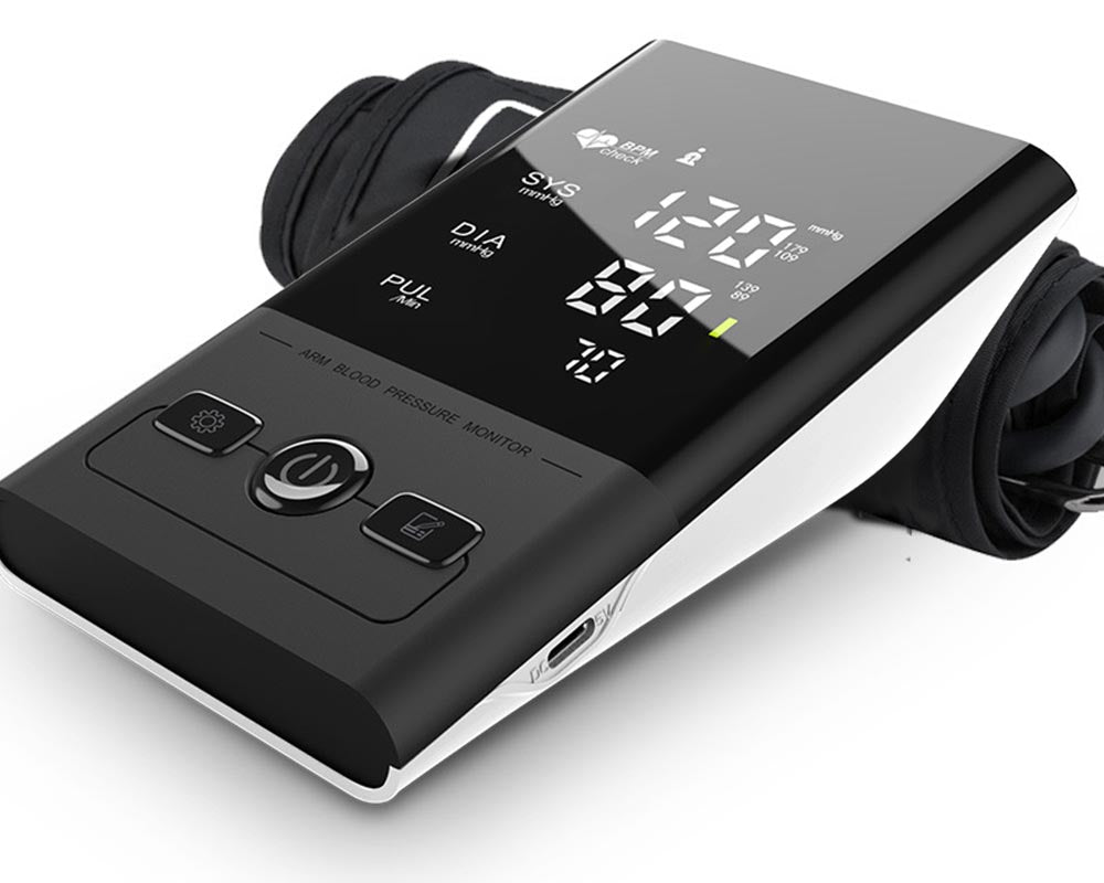 Portable blood pressure monitor
