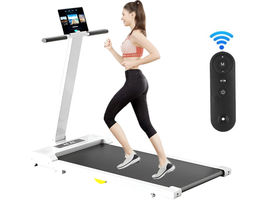 Treadmill speed and program buttons on panel