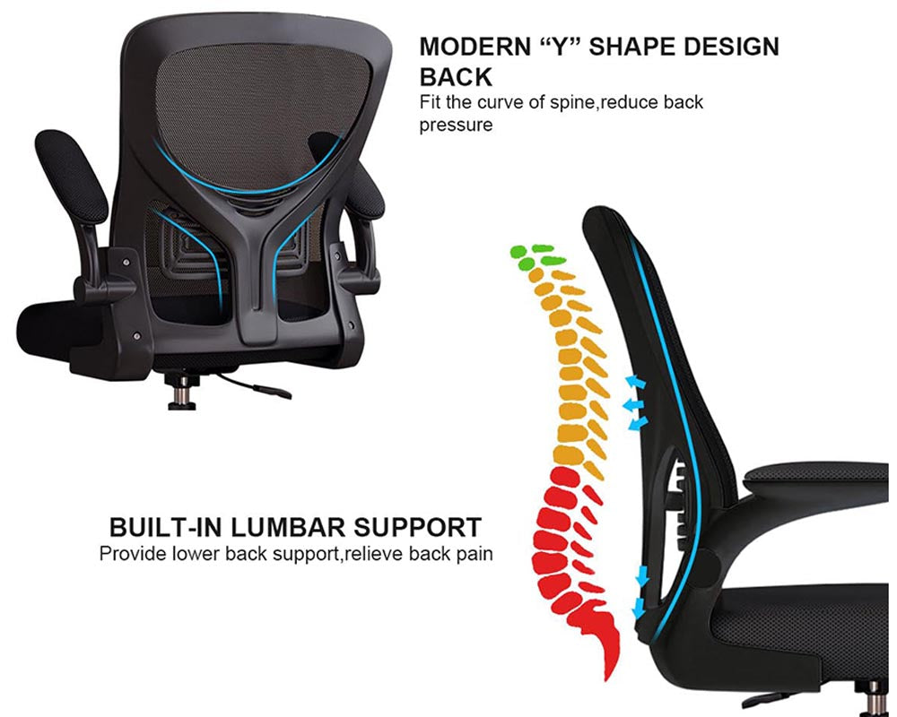 Ergonomic Office Chair
