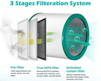 Thumbnail for Replacement Filter for Dyson Pure Cool Purifying Fans
