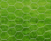 Thumbnail for Wire Netting Mesh Galvanized Fence 45M