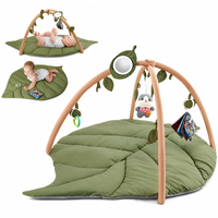 Thumbnail for Baby Play Gym