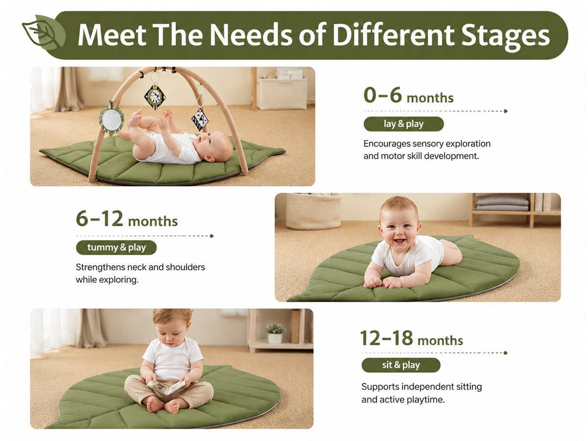 Baby Play Gym