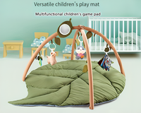 Thumbnail for Baby Play Gym