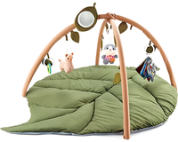 Thumbnail for Baby Play Gym