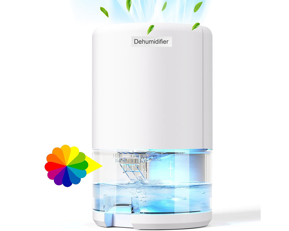 Energy efficient dehumidifier