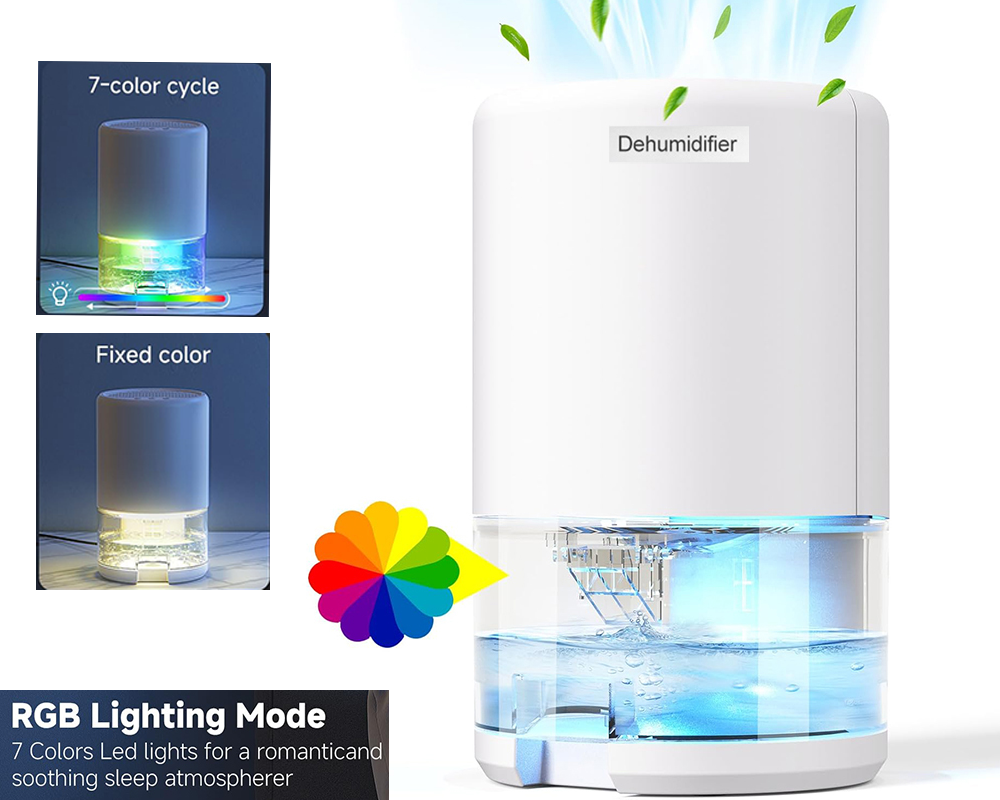 Energy efficient dehumidifier