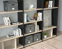 Thumbnail for File Organizer Office Document Storage
