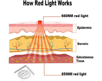 Thumbnail for Red Light Therapy Wrap and Belt