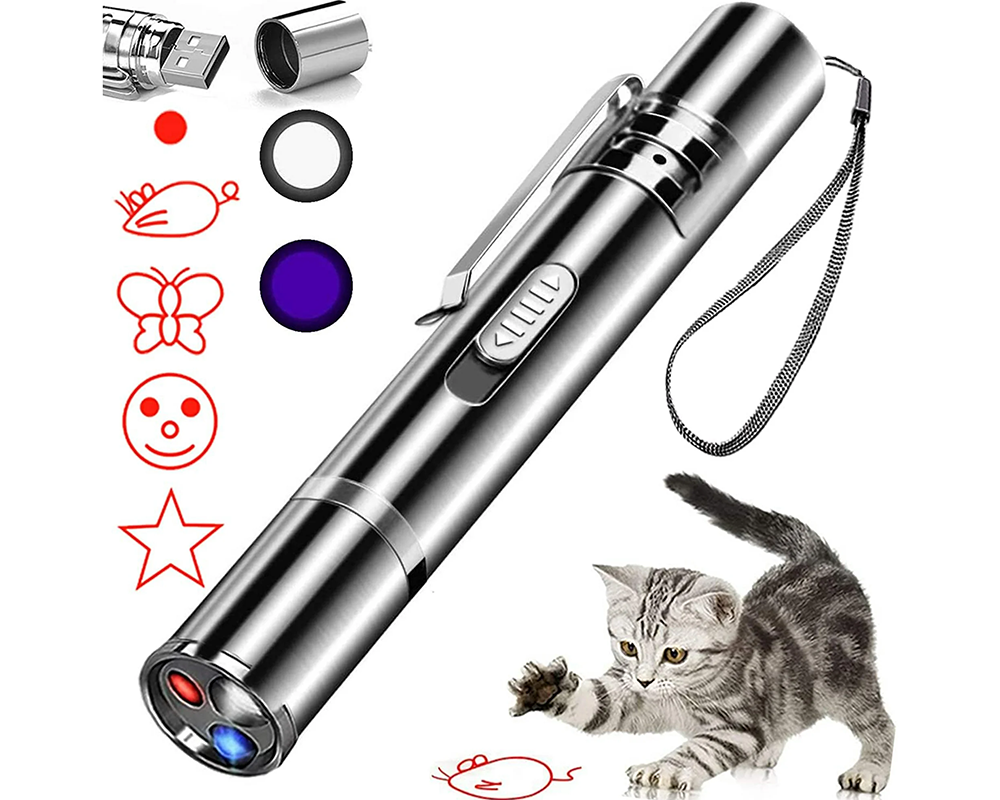 Laser pointer for pets