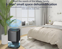 Thumbnail for Portable Dehumidifier 1000ml