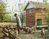 Thumbnail for Automatic Chicken Coop Door Opener