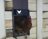 Thumbnail for Automatic Chicken Coop Door Opener