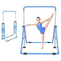 Thumbnail for Gymnastic Training Bar