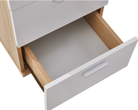 Thumbnail for Office Filing Cabinet with Wheels File Organizer