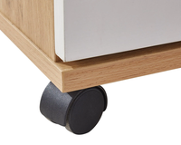 Thumbnail for Office Filing Cabinet with Wheels File Organizer