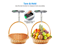 Thumbnail for Digital Luggage Scale