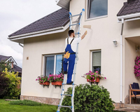 Thumbnail for compact telescopic ladder