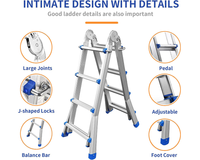 Thumbnail for 4M Multipurpose Telescopic Foldable Ladder with Platform