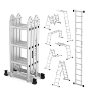 Thumbnail for Aluminium ladder used for painting and maintenance