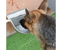 Thumbnail for Automatic Drinking Bowl Water Trough Bowl