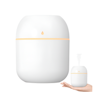 Thumbnail for Portable Humidifier