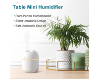 Thumbnail for Small Humidifier 220ml USB Portable Air Humidifier with Night Light 2 Mist Modes