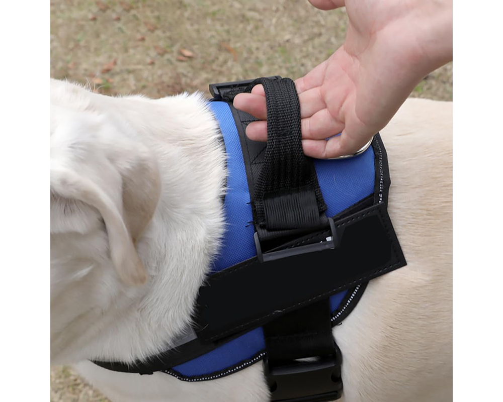 Adjustable Dog Harness