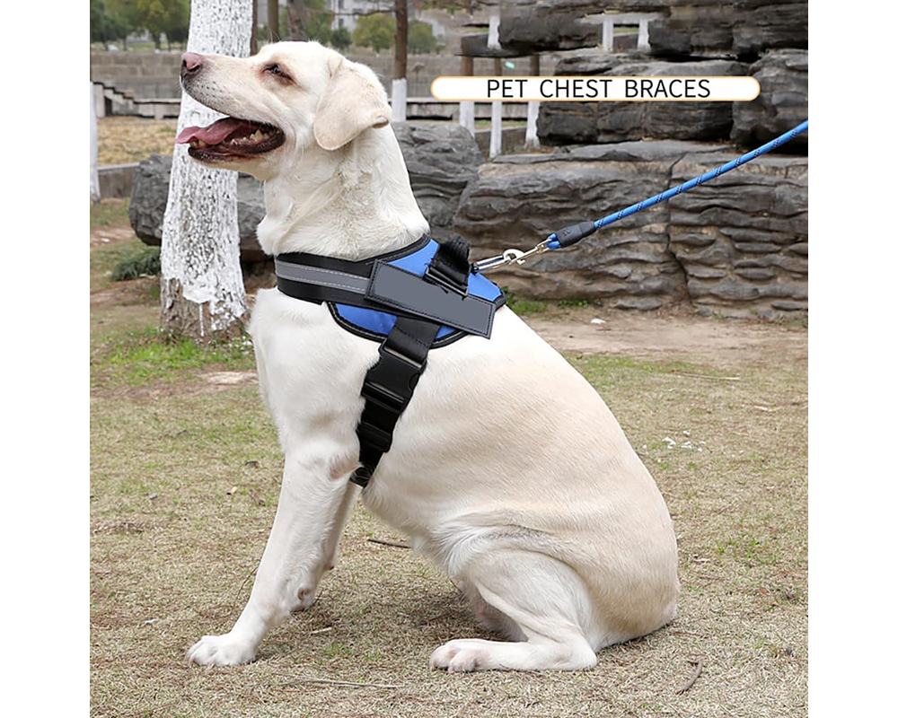 Adjustable Dog Harness