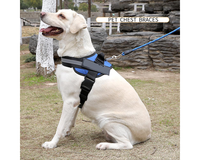 Thumbnail for Adjustable Dog Harness