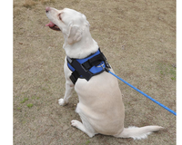 Thumbnail for Adjustable Dog Harness