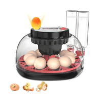 Thumbnail for Egg Incubator Hatcher