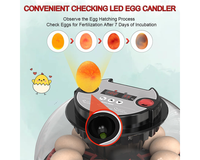 Thumbnail for Egg Incubator Hatcher