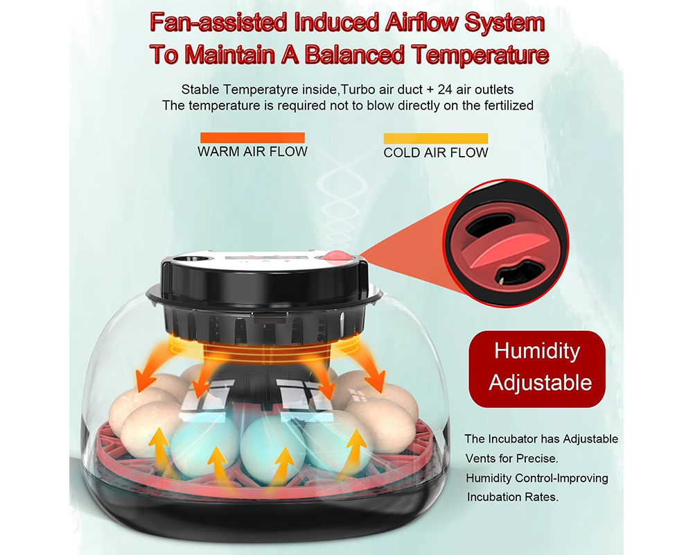 Egg Incubator Hatcher