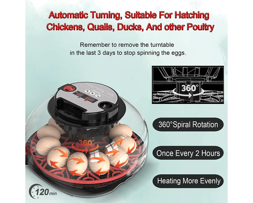 Egg Incubator Hatcher