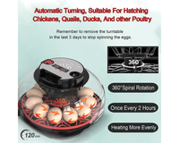 Thumbnail for Egg Incubator Hatcher