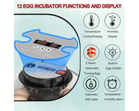 Thumbnail for Egg Incubator Hatcher