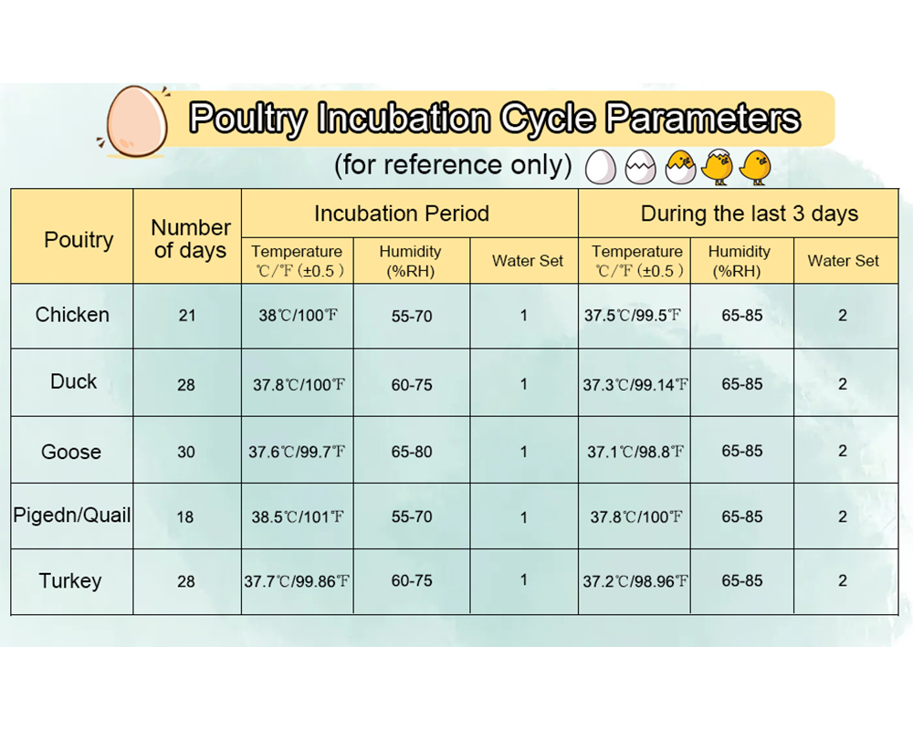 Egg Incubator Hatcher