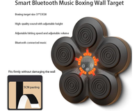 Thumbnail for Music Boxing Training Machine