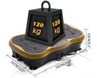 Thumbnail for Vibration Plate Exercise Machines