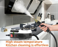 Thumbnail for Handheld 2500W Steam Cleaner High Temperature Pressurized