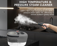 Thumbnail for Handheld 2500W Steam Cleaner High Temperature Pressurized