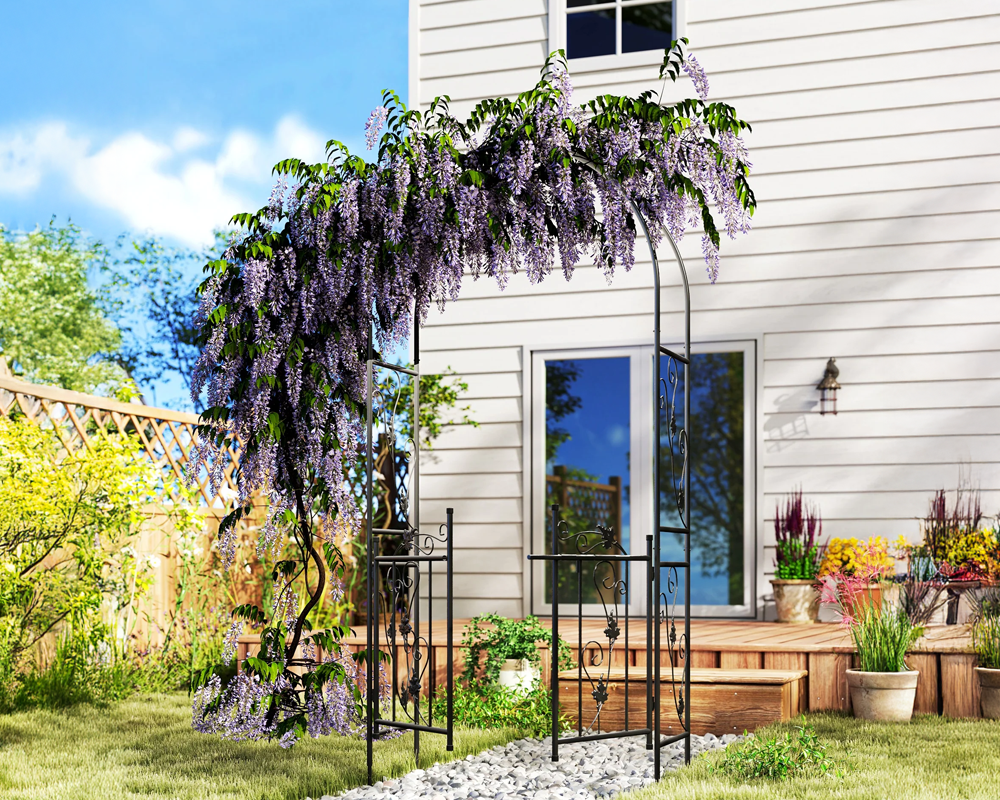 Iron trellis supporting climbing plants