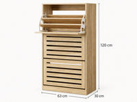 Thumbnail for Shoe Cabinet