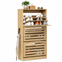 Thumbnail for Shoe Cabinet