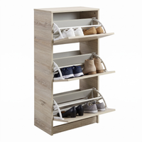 Thumbnail for Shoe Cabinet